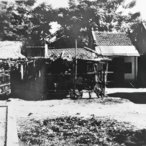 Di tích cho sông Cần