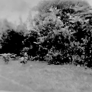 DI TICH GO DAI_DIEM BAN