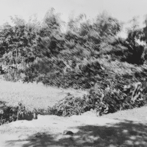 Di tích Gò Lò Soi