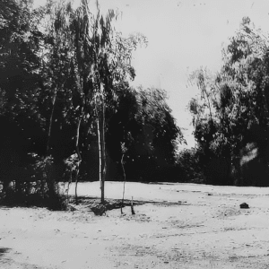 Di tích Vườn Nhà Phạm Chương