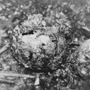 Thiệt mạng dưới hầm