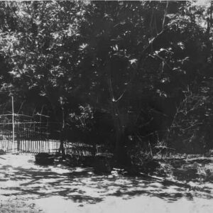 DI TICH VUON NHA TRUONG NIEN